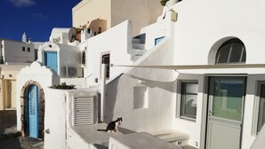 A narrow street with white buildings, blue doors, and a cat on the wall. - Cave Villa Valente (Santorini)