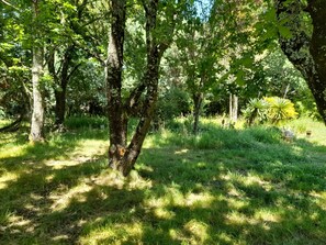 Property grounds - 2 vacation apartments, each with 75 square meters on 4000 square meters of fenced property. (Hourtin)