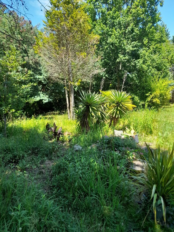 Boendeområde