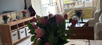 Room in Guest Room - Cozy Room in Modern Shared Apartment in Atalaya, Spain