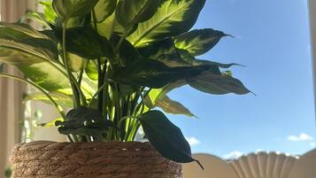 DĂ©tail de lâintĂ©rieur