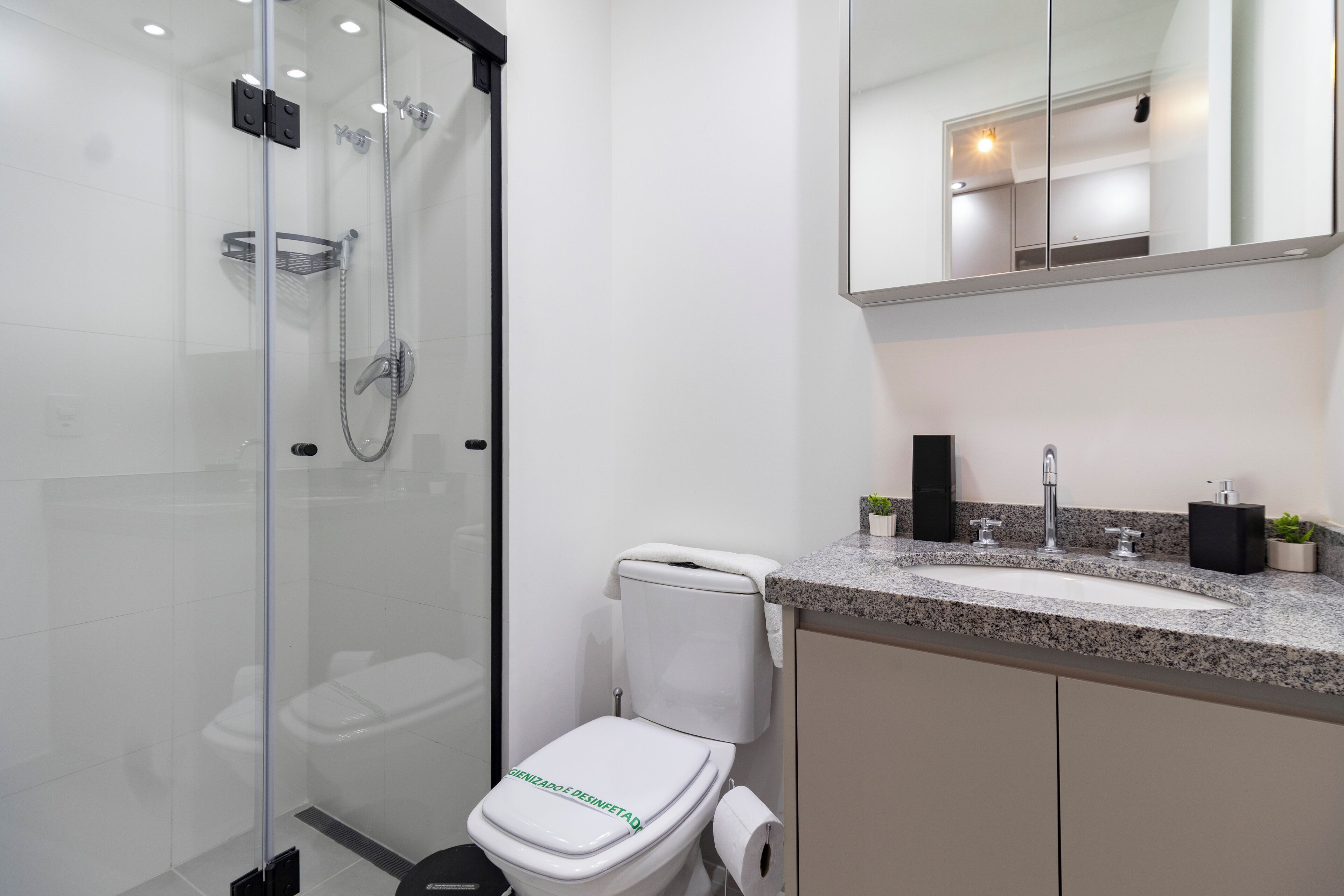 A modern bathroom with a glass-enclosed shower, a white toilet, and a granite countertop sink with a mirror above.