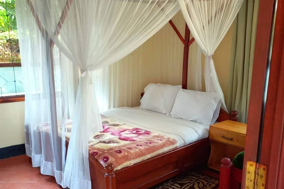 A bed with a canopy, a bedside table, and a patterned rug.