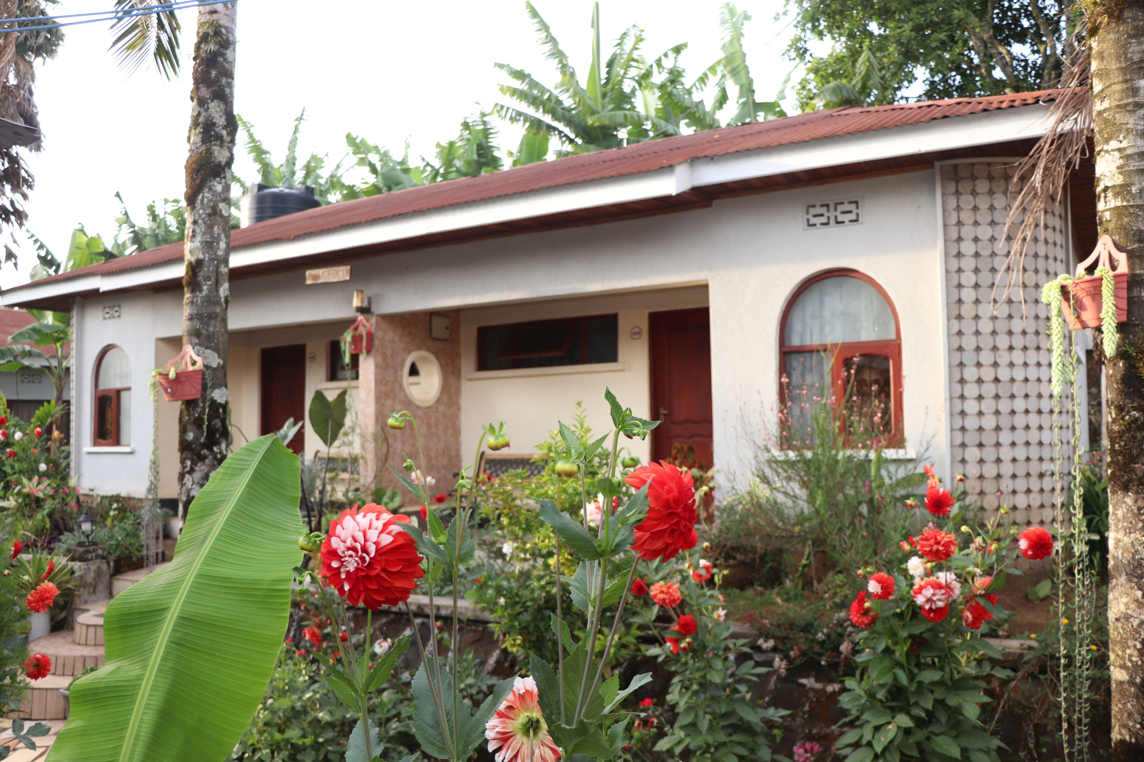 A house with a tiled roof, a front porch, and a garden with red flowers and a large green leaf.