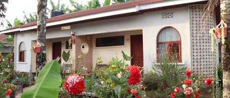 A house with a tiled roof, a front porch, and a garden with red flowers and a large green leaf.