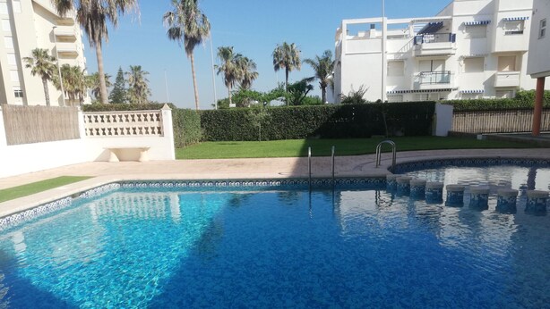 A swimming pool with clear blue water, surrounded by a low hedge and a paved deck.
