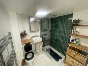 Shower, eco-friendly toiletries, hair dryer, towels