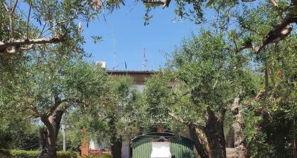 THE OLIVE TREES GARDEN HOUSE