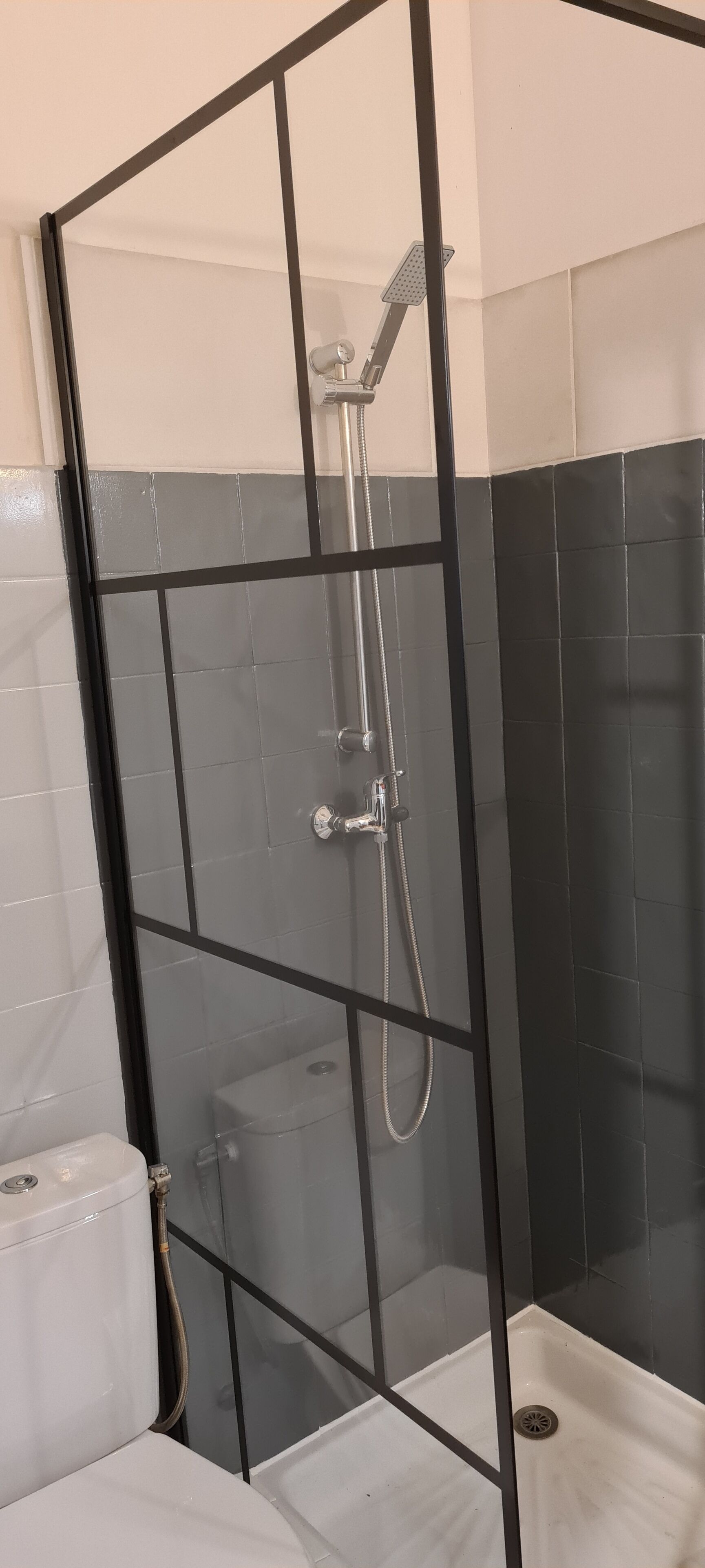Ein Duschbereich mit Glasabtrennung, eine weiße Toilette und eine Wand mit schwarzen Fliesen.