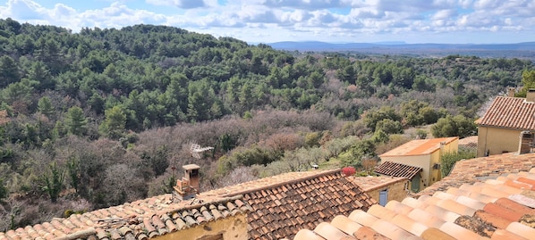 A view of a mountainous landscape with dense forests and a clear sky. - Auberge de Baudinard (Baudinard-sur-Verdon)