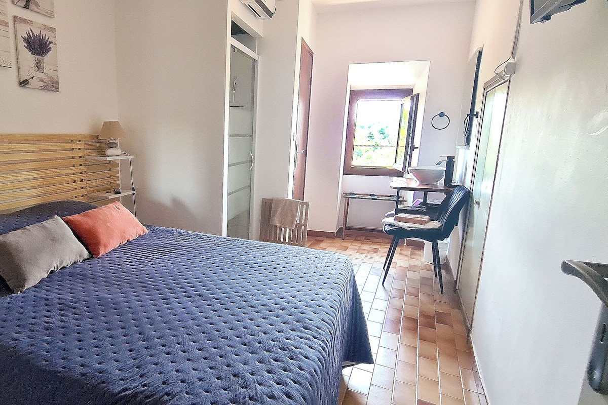 Standard Double Room Single Use, Hill View | Dihias secara berasingan, kalis bunyi, Wi-fi percuma