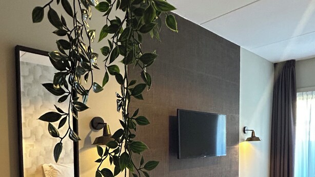 Een moderne hotelkamer met een groot bed, een flatscreen televisie aan de muur, een nachtkastje met een lamp en een kamerplant.