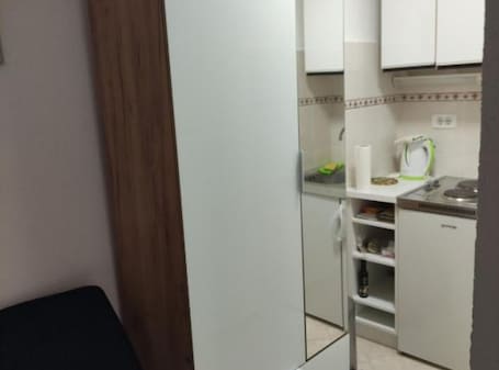 Studio (Studio Apartment Sineva) | Private kitchen | Fridge
