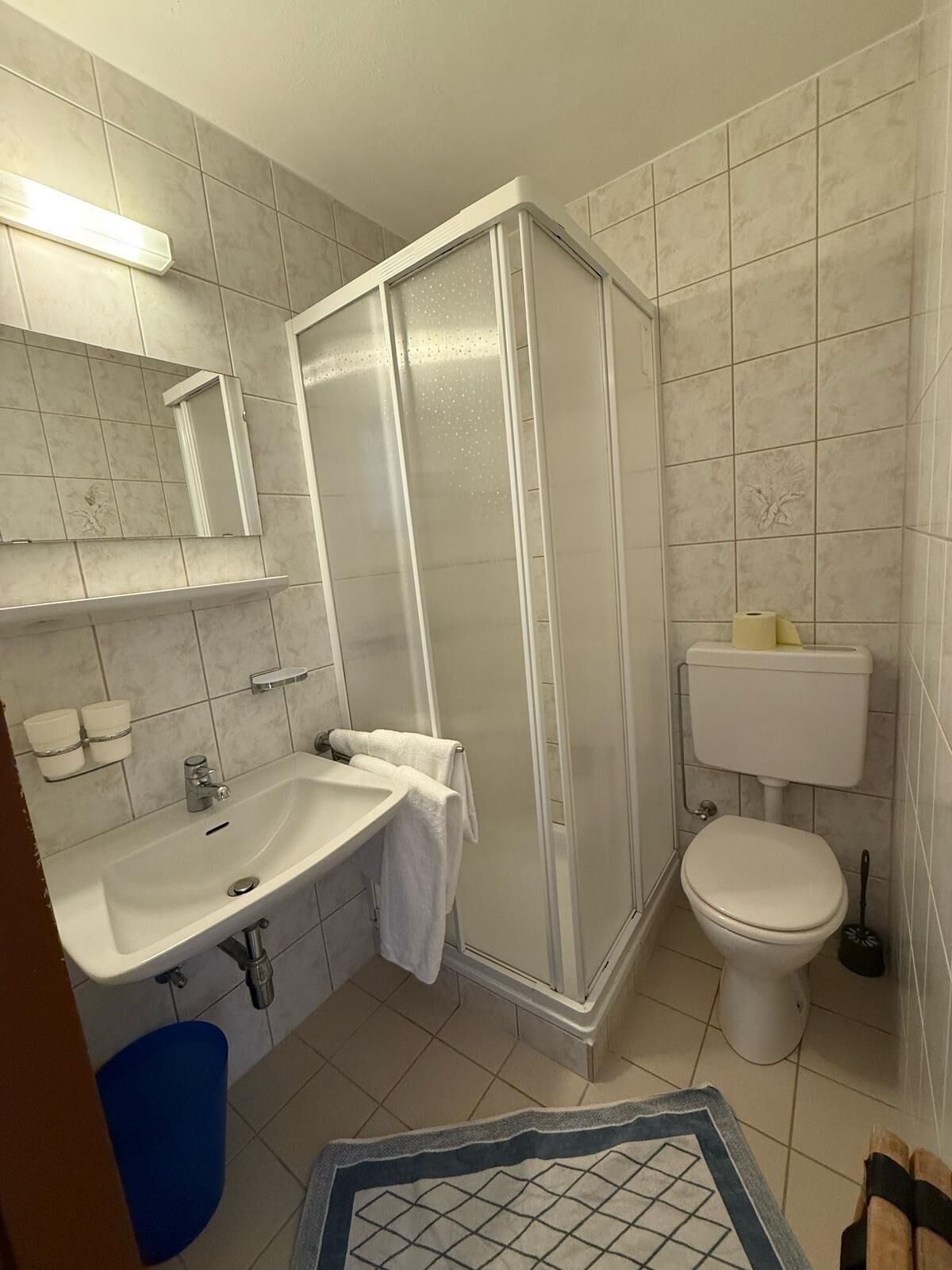 A bathroom with a shower, sink, toilet, and a blue trash bin.