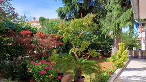 Un jardin bien entretenu, agrémenté de diverses plantes et doté d’un sentier.