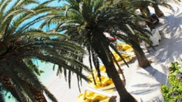 Una playa con palmeras y una silla de descanso amarilla.