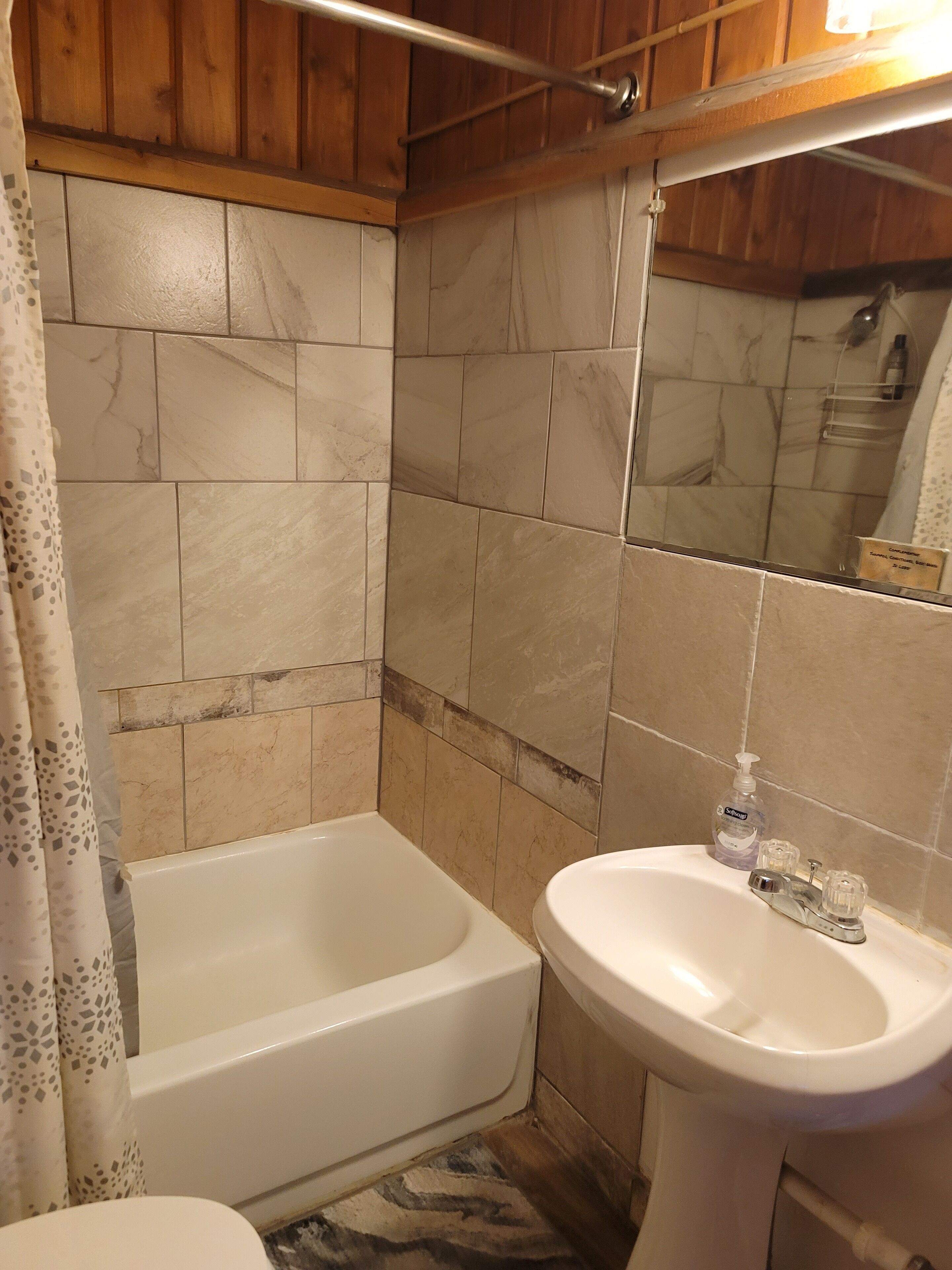 Un bany amb banyera, un lavabo i zona de dutxa.