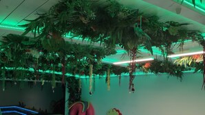 Een kamer met een zwembadgedeelte, kunstplanten en kleurrijke speeltoestellen.