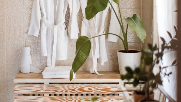 Een badkamer met twee witte badjassen aan een rek, een potplant en een vloerkleed met een patroon.