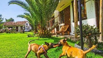 Enceinte de lâhĂ©bergement