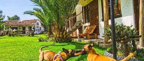 Enceinte de lâhĂ©bergement