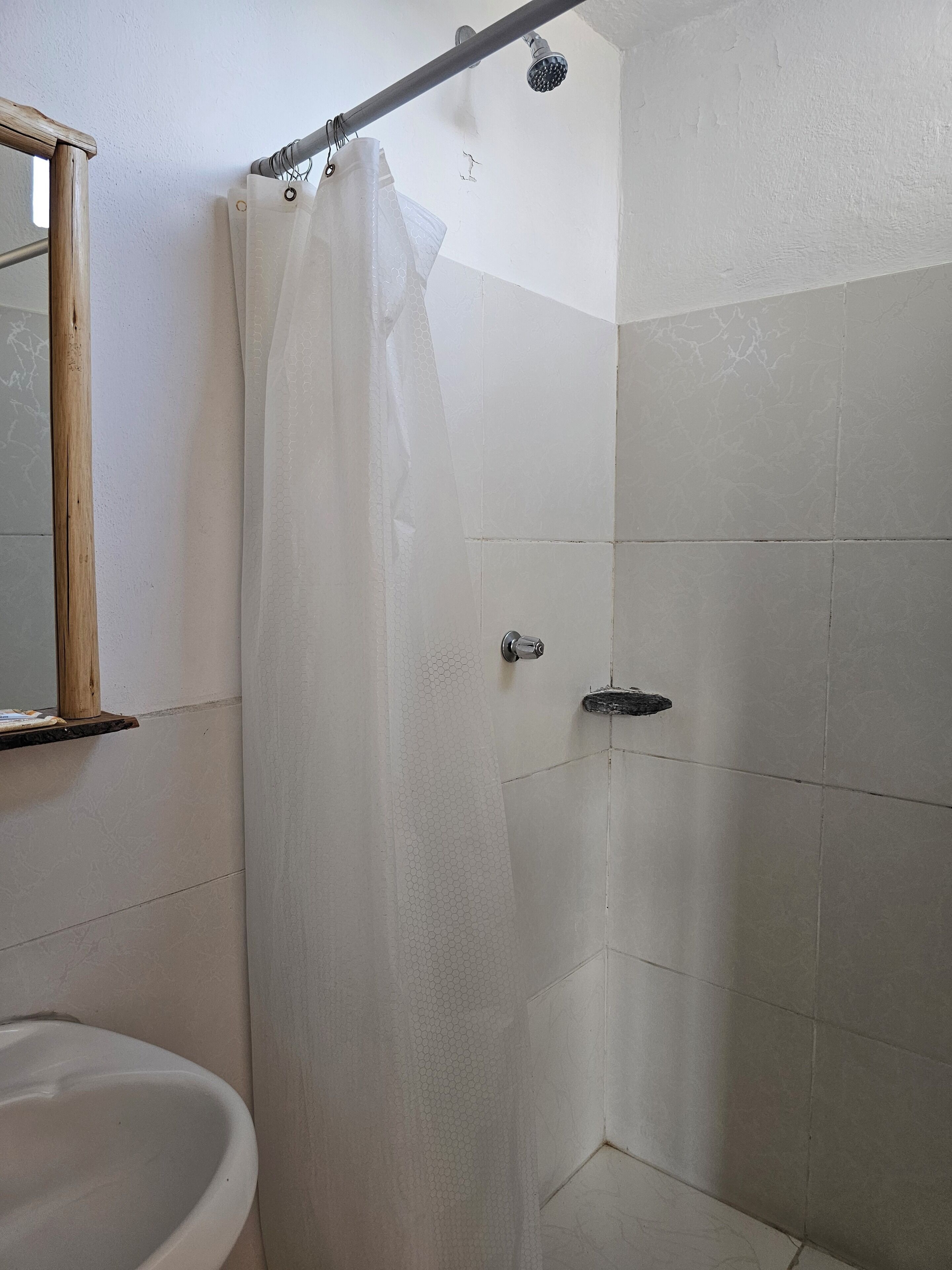 A bathroom with a shower, a toilet, and a mirror.