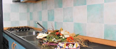Fridge, oven, stovetop, cookware/dishes/utensils