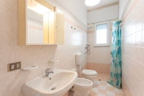 Shower, hair dryer, bidet, towels