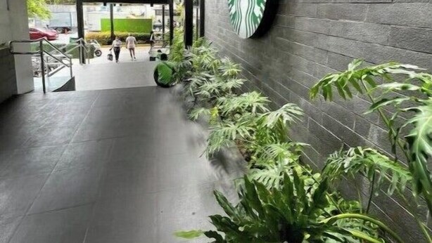 L’entrée d’un Starbucks, avec un mur en briques, des plantes en pot et une allée couverte.