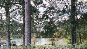 Aussicht auf einen Fluss mit Bäumen und einem Steg.