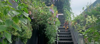 ชาร์ลีส์ เพลส