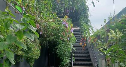 Charly's Place