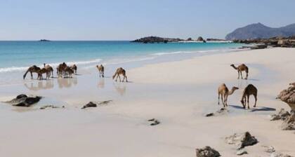 Luxury Suite - Amazing Views & Lovely Garden