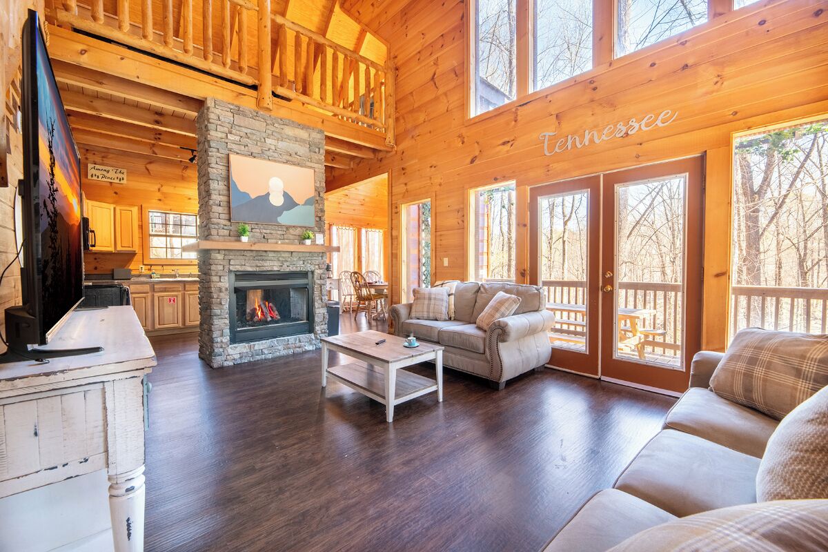 TV, fireplace, foosball