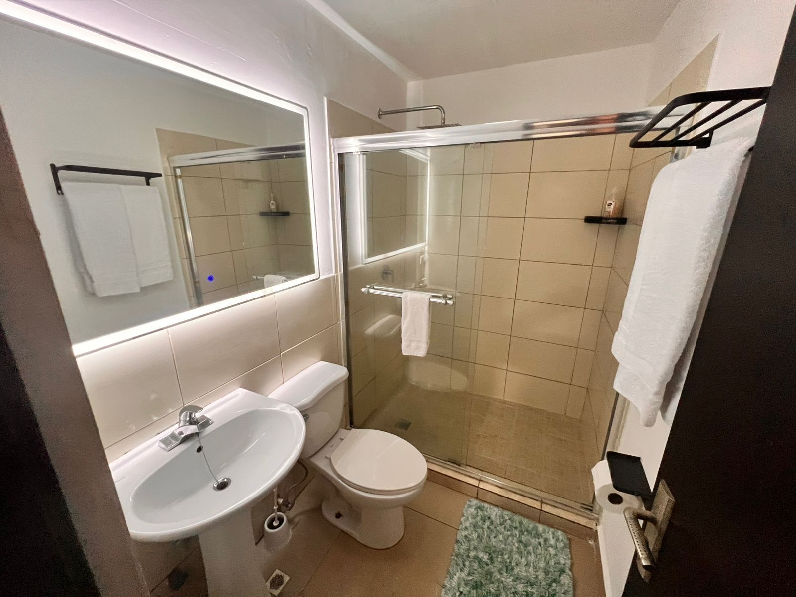 Secador de cabelo, toalhas de banho, papel higiênico 