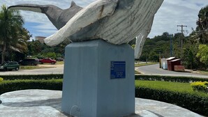 Severdighet