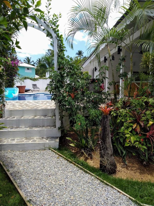 A pool area with steps leading to a building, surrounded by lush greenery and palm trees.