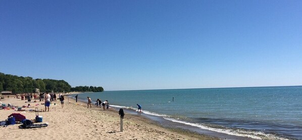 Guests can enjoy sunbathing and relaxation on the beach, surrounded by palm trees and scenic views.