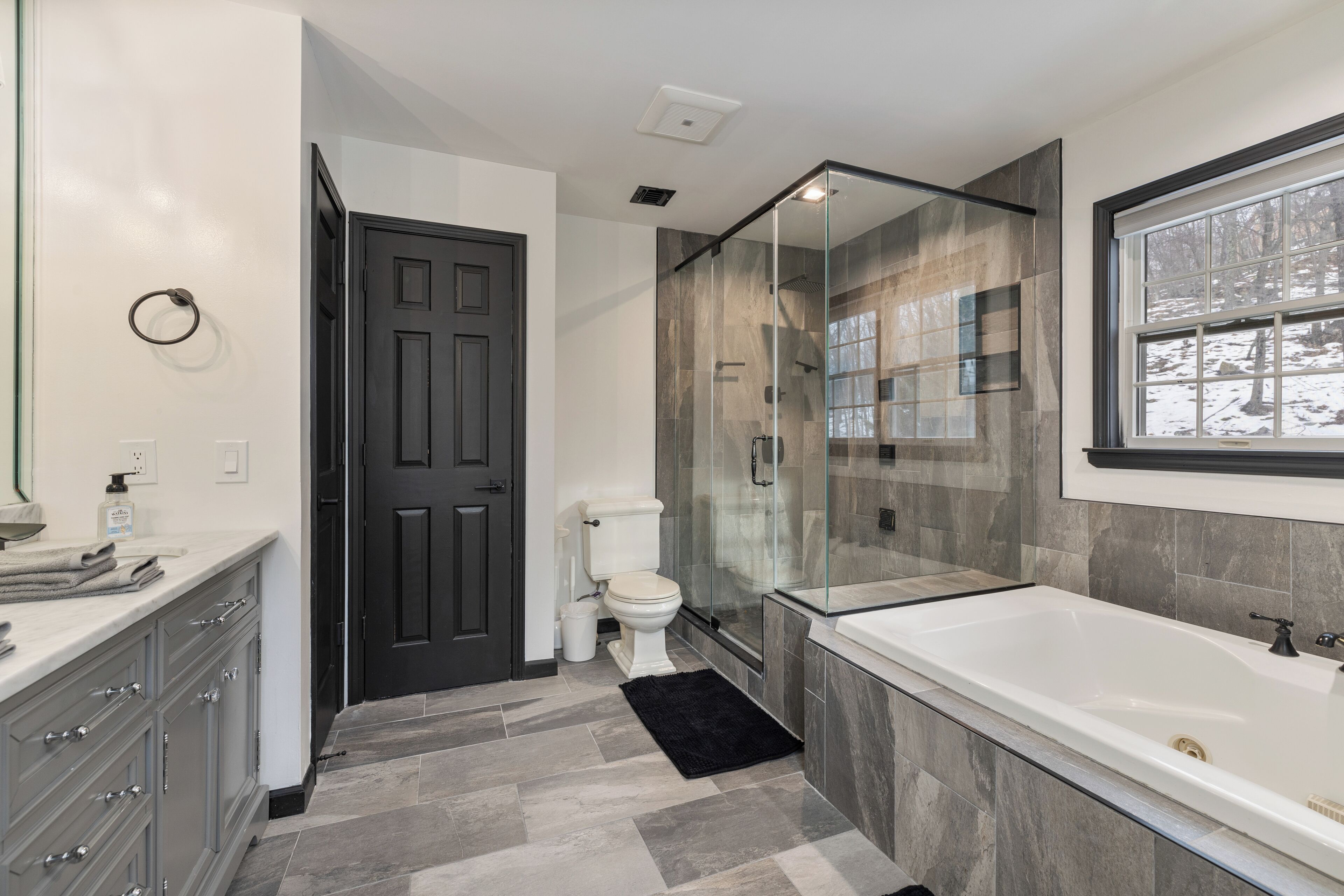 Shower, jetted tub, hair dryer, towels