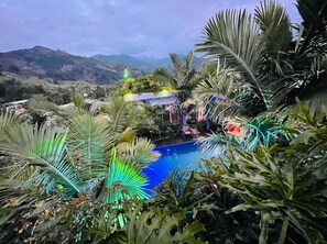 A pool surrounded by lush greenery and palm trees, with a mountainous backdrop. - hostal hilltop salento (Salento)