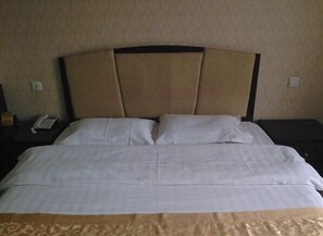 Room - Jinjing Business Hotel (Linshu)