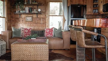 TV connectée, cheminée, livres