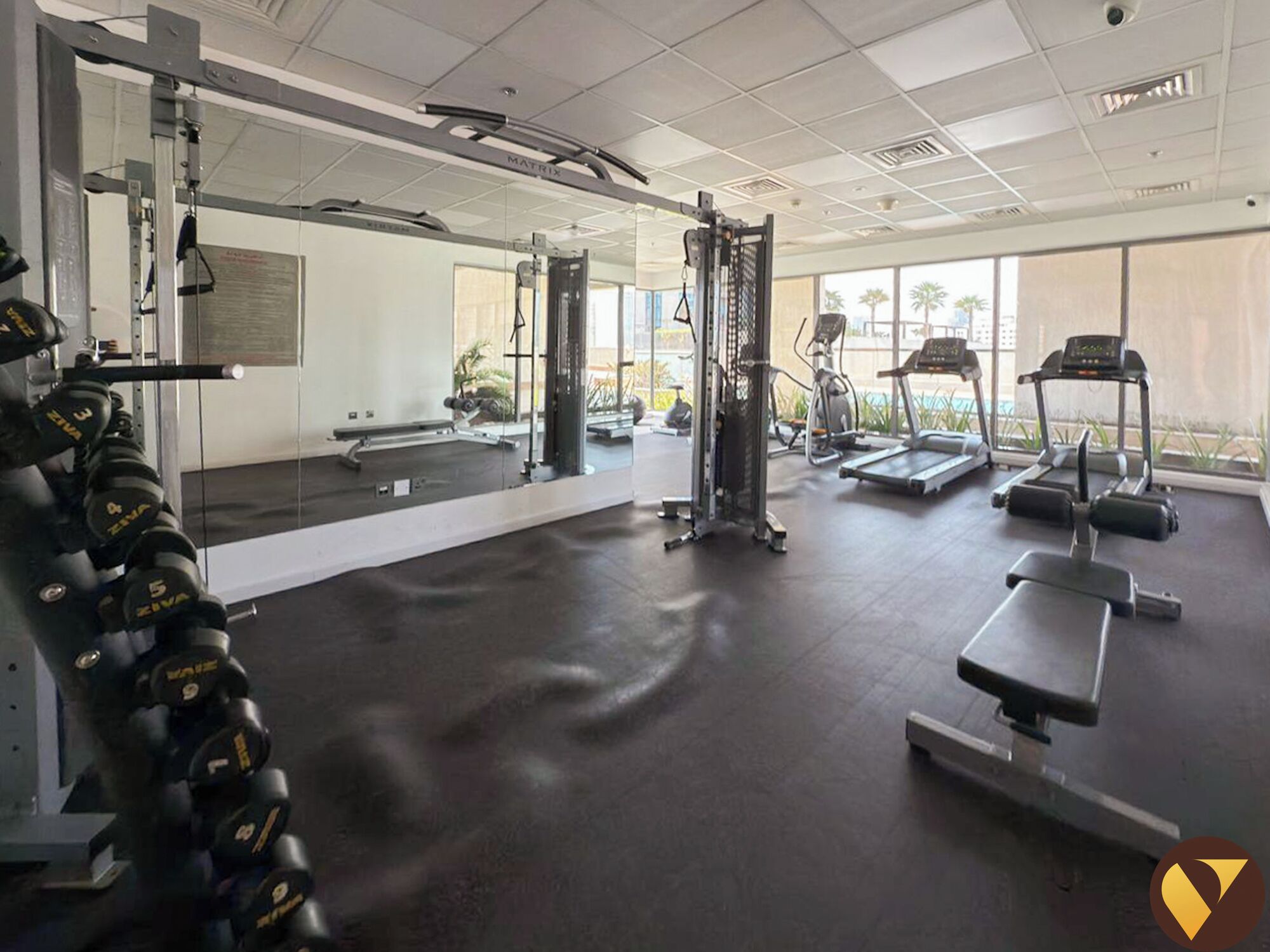 A gym with various exercise equipment, including dumbbells, a squat rack, and treadmills.