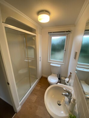 A bathroom with a glass shower enclosure, a toilet, and a sink. - Cosy Helvellyn Lodge With Wood Fired Hot Tub (Natland)