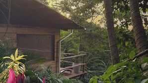 Una cabaña de madera rodeada de exuberante vegetación tropical.