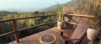 La Casa del Mono