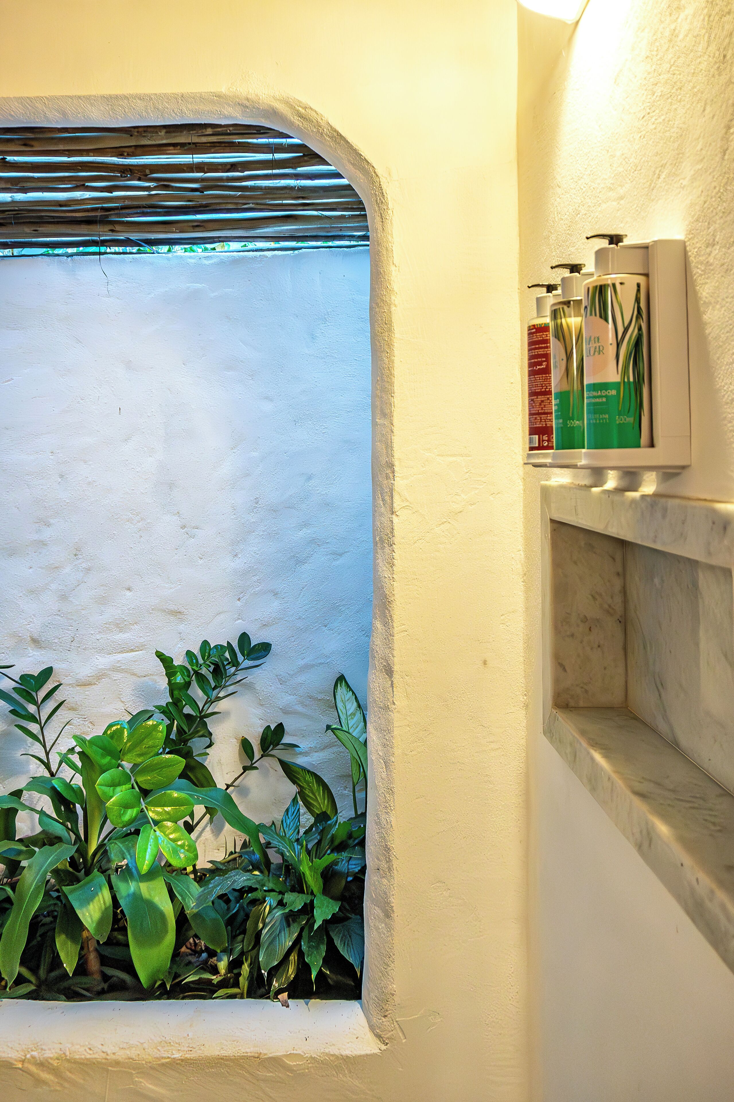 Un coin de pièce avec un mur blanc, une étagère contenant des articles de toilette et des plantes vertes.