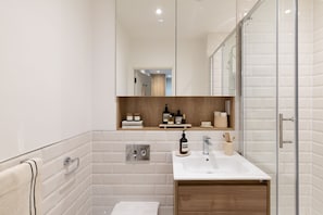 Shower, hair dryer, towels