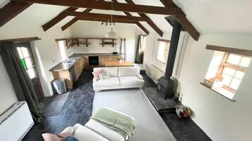 Smart TV, fireplace, books