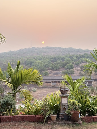 施設の敷地. Homestay offers families a serene hilltop retreat surrounded by nature.